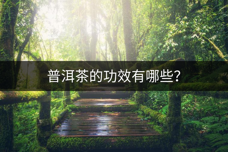 普洱茶的功效有哪些？