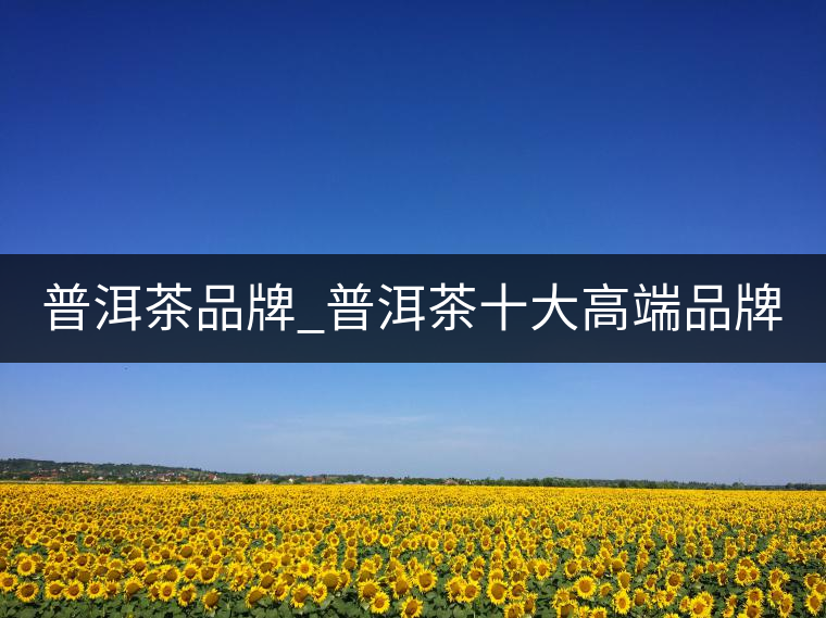 普洱茶品牌_普洱茶十大高端品牌_哪個牌子好？