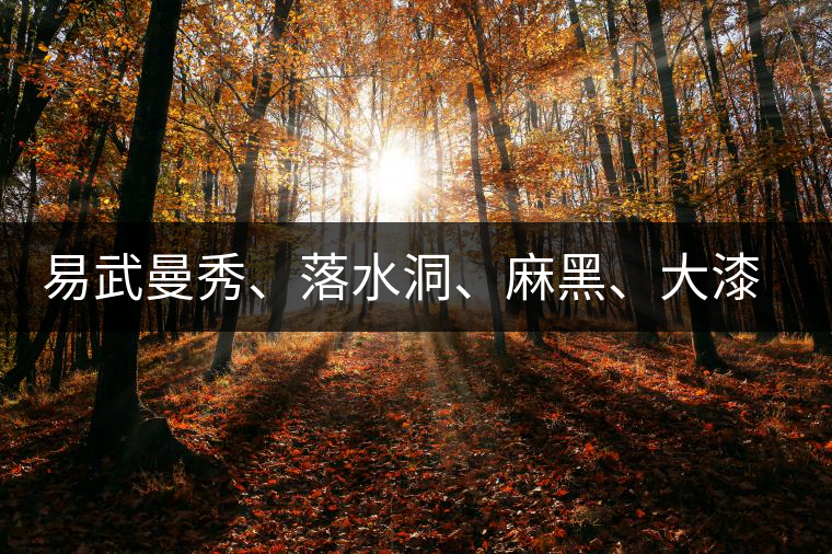 易武曼秀、落水洞、麻黑、大漆樹(shù)等你更喜歡哪個(gè)茶？