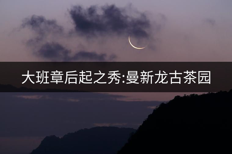 大班章后起之秀:曼新龍古茶園 大班章后起之秀:曼新龍古茶園