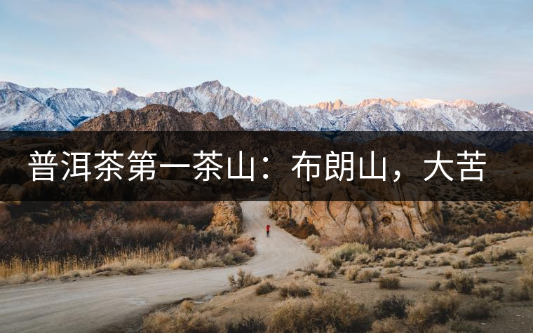 普洱茶第一茶山：布朗山，大苦大甘是它的魂