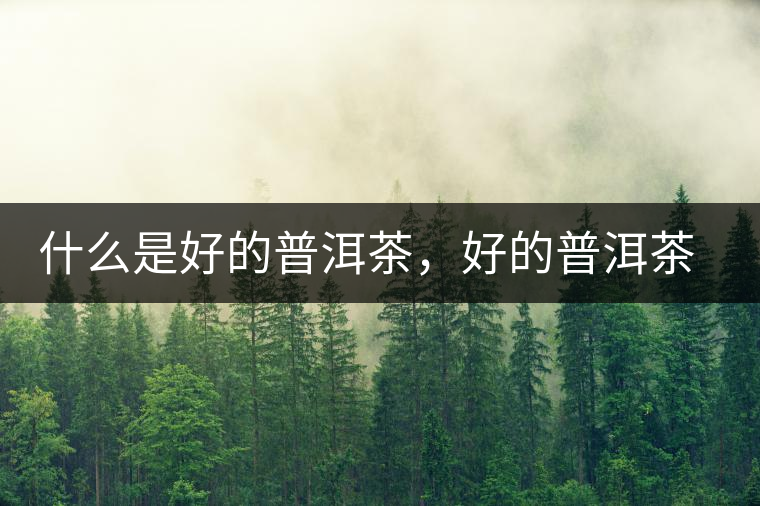 什么是好的普洱茶，好的普洱茶必須要有好的工藝！