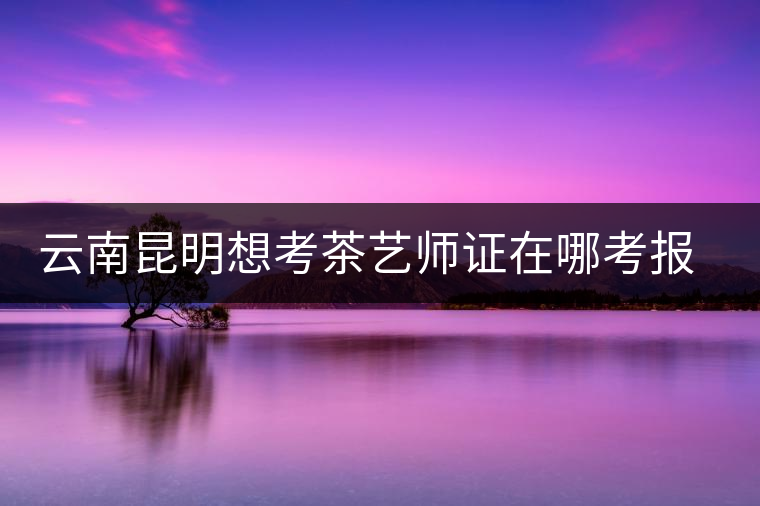 云南昆明想考茶藝師證在哪考報名及考試時間，哪個學校好？