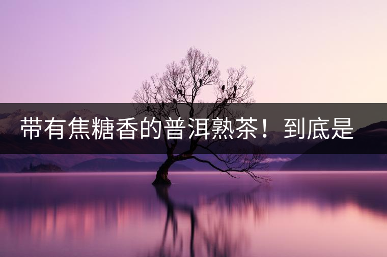 帶有焦糖香的普洱熟茶！到底是好是壞？