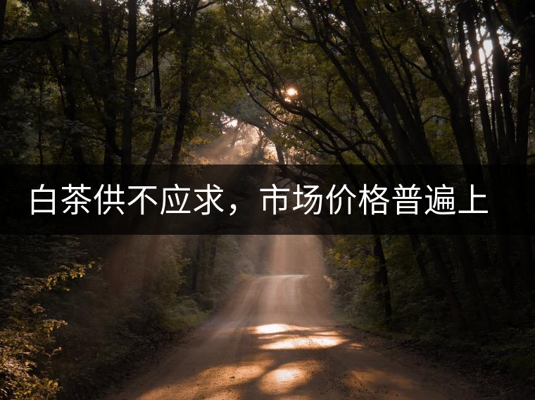 白茶供不應求，市場價格普遍上漲？