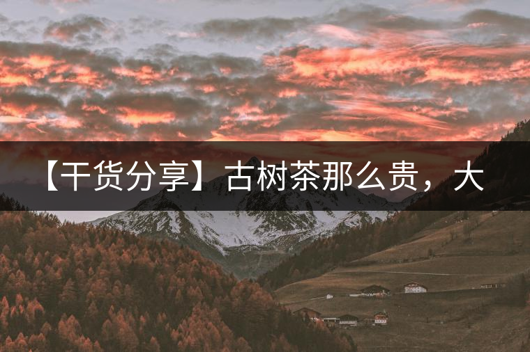 【干貨分享】古樹茶那么貴，大家為什么還在瘋狂追求？