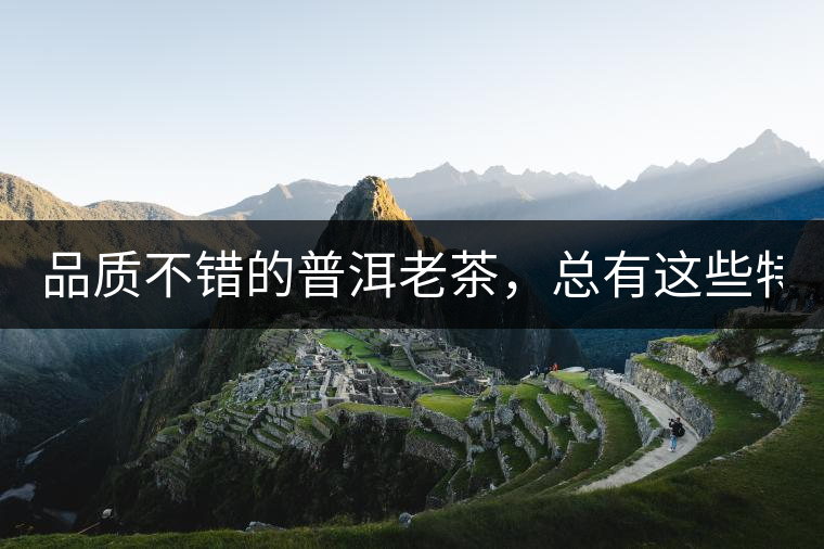 品質(zhì)不錯的普洱老茶，總有這些特點！