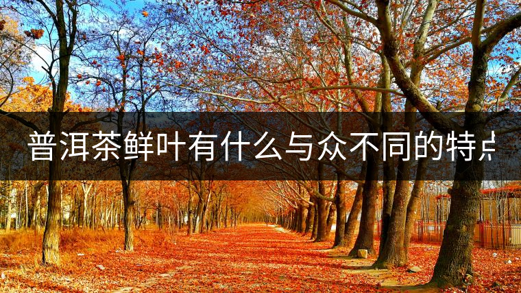 普洱茶鮮葉有什么與眾不同的特點(diǎn)？