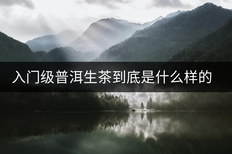 入門級普洱生茶到底是什么樣的口感？