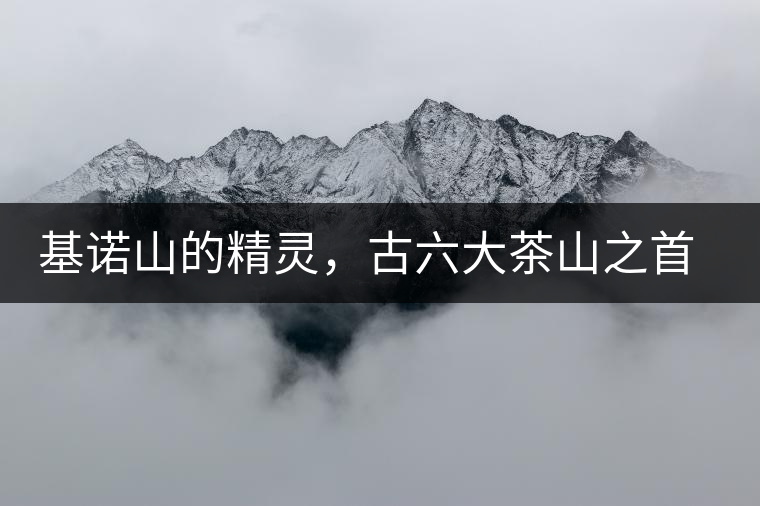 基諾山的精靈,古六大茶山之首武侯遺種攸樂(lè)古樹(shù)茶 基諾山的精靈,古六大茶山之首武侯遺種攸樂(lè)古樹(shù)茶