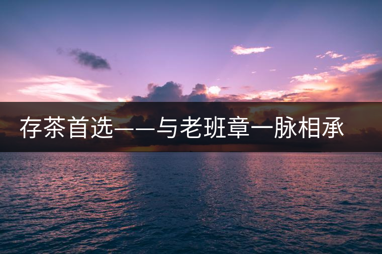 存茶首選——與老班章一脈相承的帕真古樹(shù)茶