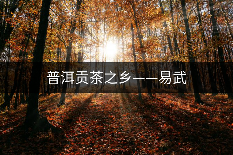 普洱貢茶之鄉(xiāng)——易武