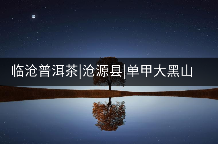 臨滄普洱茶|滄源縣|單甲大黑山古茶園 臨滄普洱茶|滄源縣|單甲大黑山古茶園