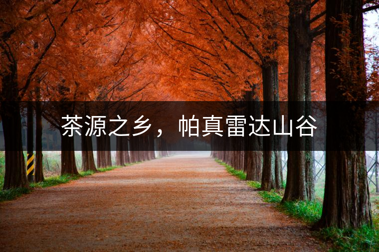 茶源之鄉(xiāng)，帕真雷達(dá)山谷