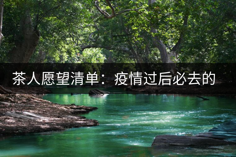 茶人愿望清單：疫情過后必去的古茶山——易武