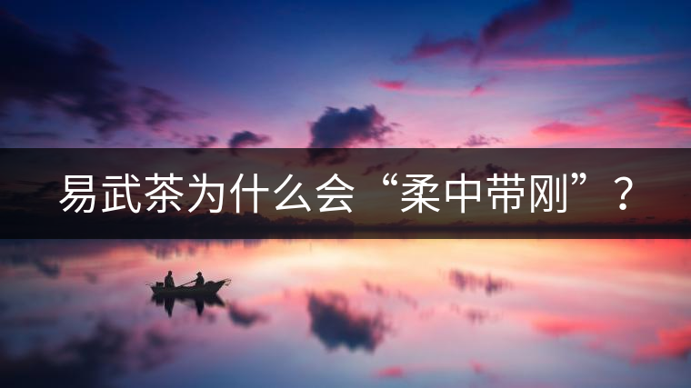 易武茶為什么會(huì)“柔中帶剛”？