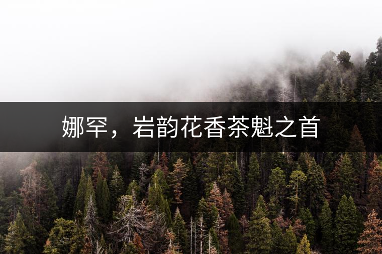 娜罕，巖韻花香茶魁之首