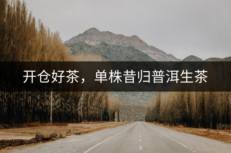 開倉好茶，單株昔歸普洱生茶