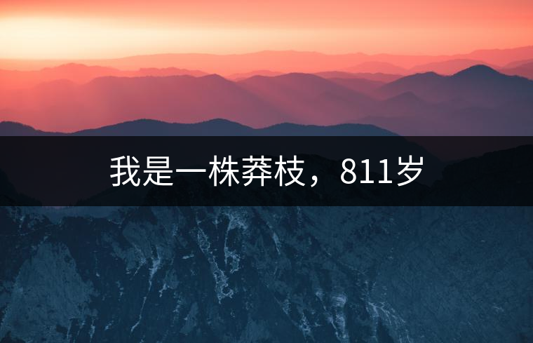 我是一株莽枝，811歲
