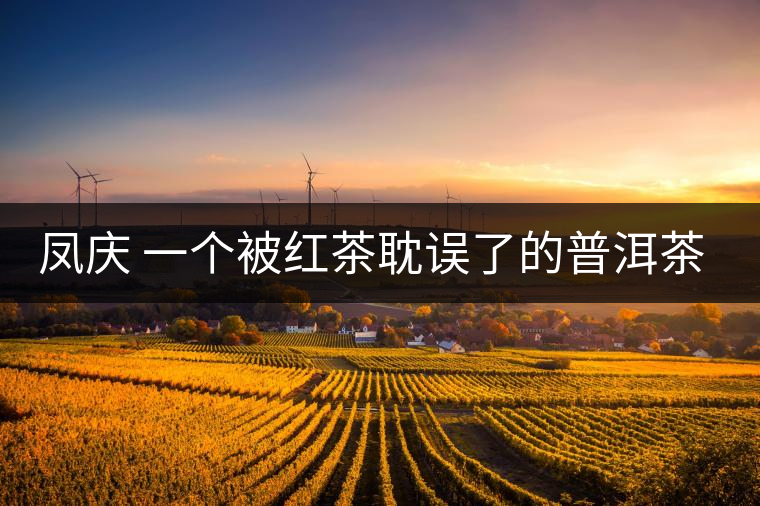 鳳慶 一個被紅茶耽誤了的普洱茶基地 鳳慶 一個被紅茶耽誤了的普洱茶基地