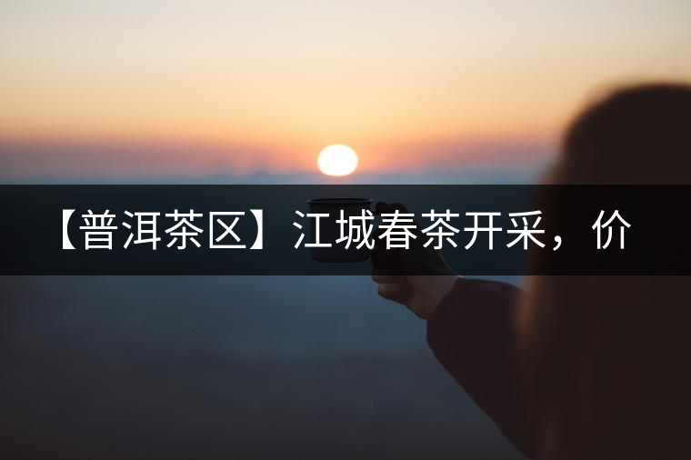 【普洱茶區(qū)】江城春茶開采，價格漲幅小