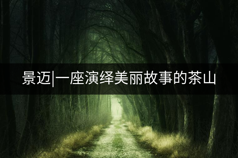 景邁|一座演繹美麗故事的茶山