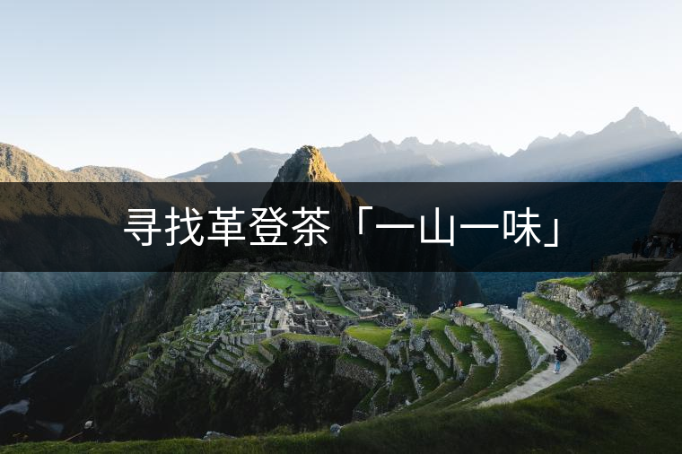 尋找革登茶「一山一味」