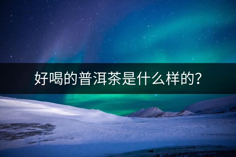 好喝的普洱茶是什么樣的？