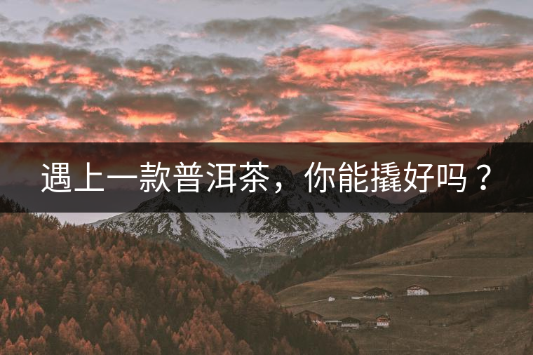 遇上一款普洱茶，你能撬好嗎 ？