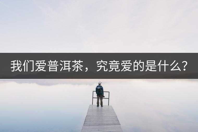 我們愛普洱茶，究竟愛的是什么？