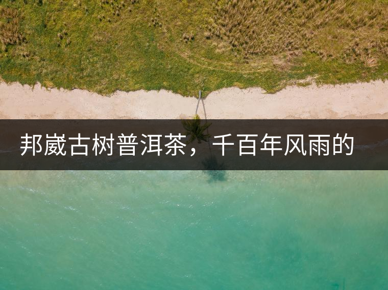 邦崴古樹普洱茶，千百年風(fēng)雨的洗禮