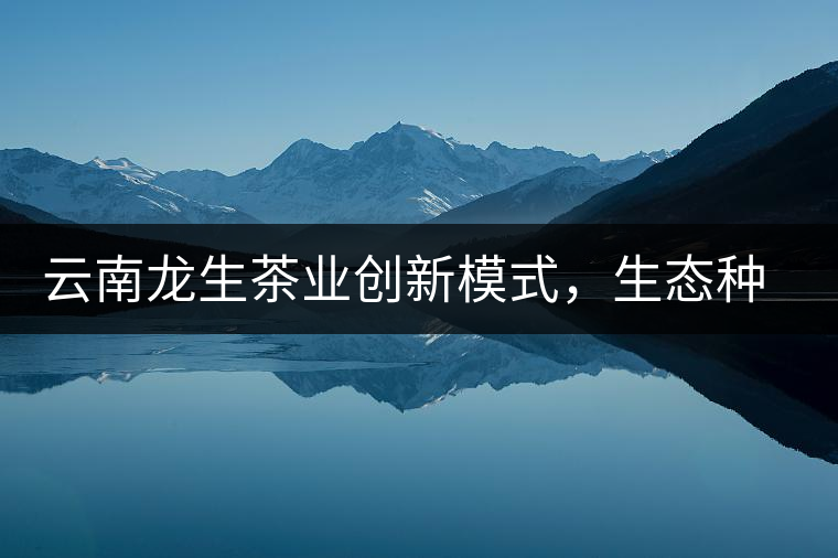 云南龍生茶業(yè)創(chuàng)新模式，生態(tài)種植