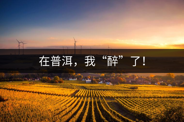 在普洱，我“醉”了！