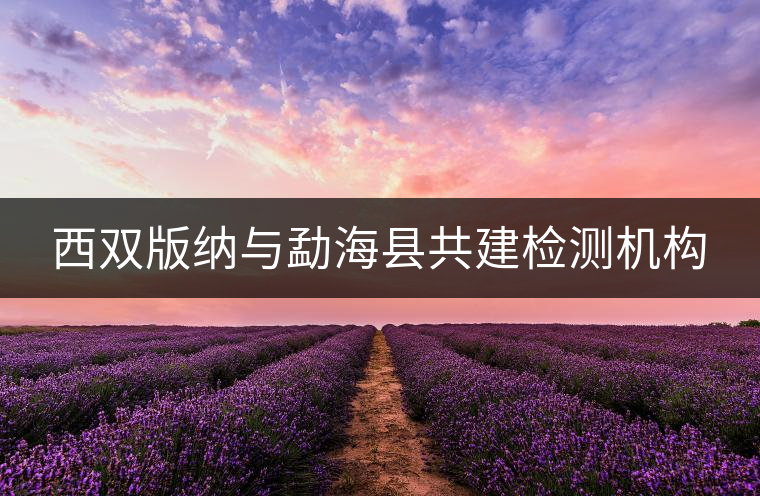 西雙版納與勐海縣共建檢測機構