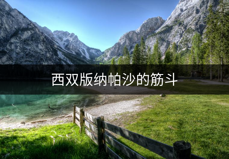 西雙版納帕沙的筋斗