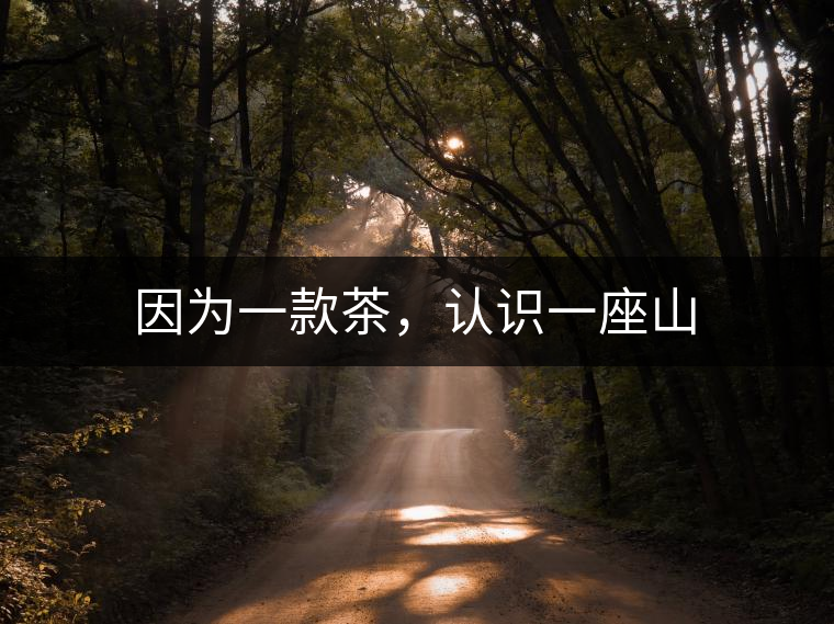 因為一款茶，認(rèn)識一座山