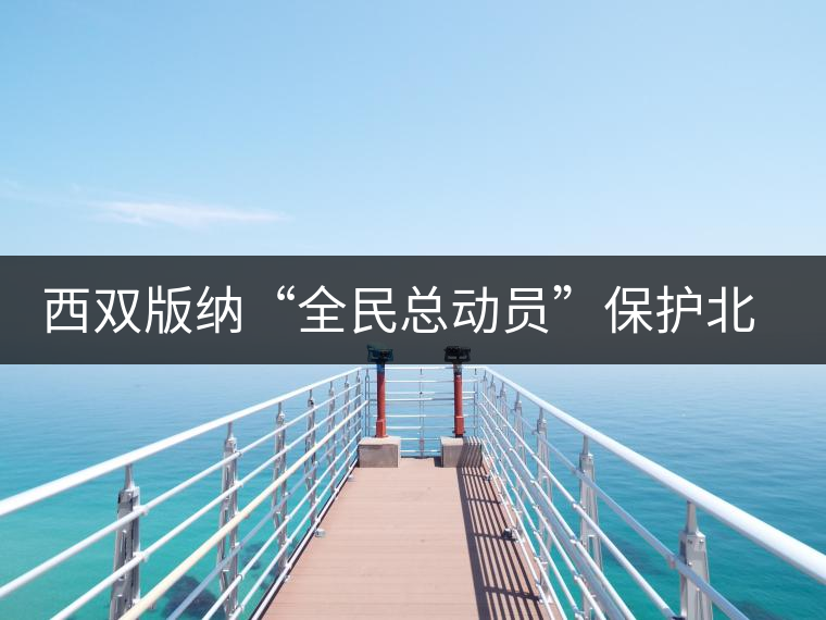 西雙版納“全民總動員”保護北回歸線唯一綠洲 西雙版納“全民總動員”保護北回歸線唯一綠洲