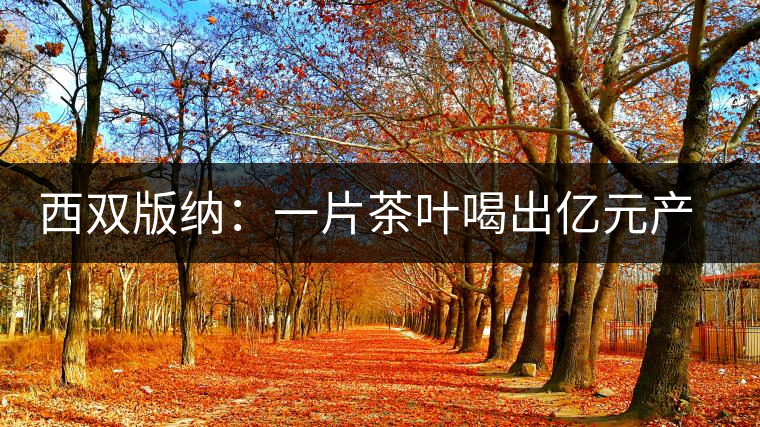 西雙版納:一片茶葉喝出億元產業(yè) 西雙版納:一片茶葉喝出億元產業(yè)