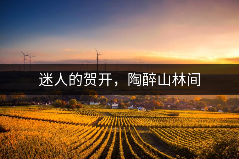 迷人的賀開，陶醉山林間