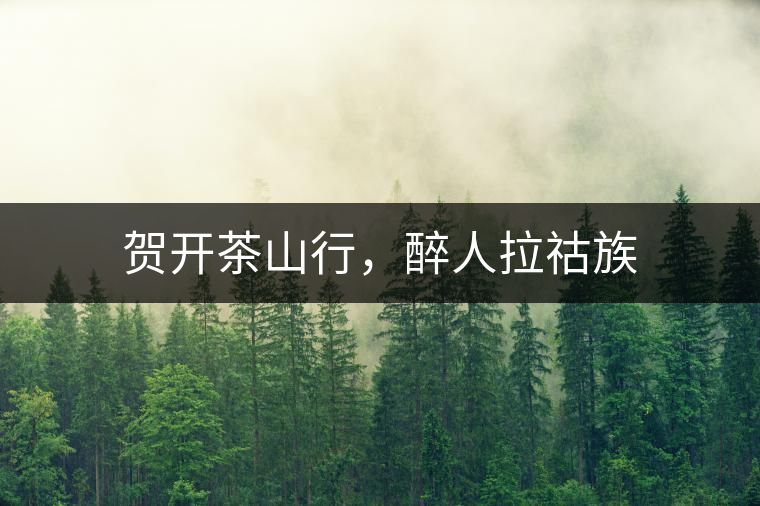 賀開茶山行，醉人拉祜族