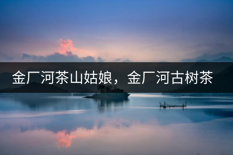 金廠河茶山姑娘，金廠河古樹茶特點(diǎn)與價(jià)格