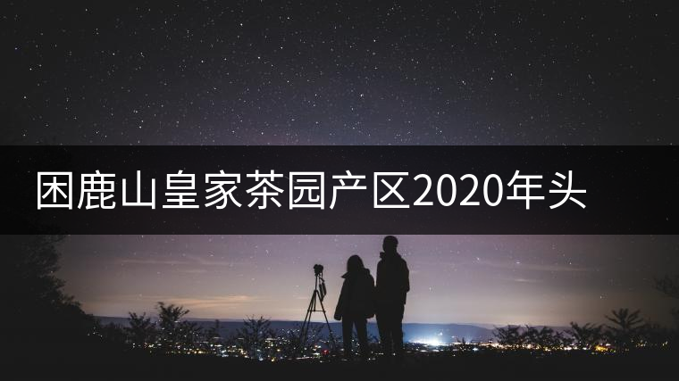 困鹿山皇家茶園產(chǎn)區(qū)2020年頭春古樹，白花林口感特點