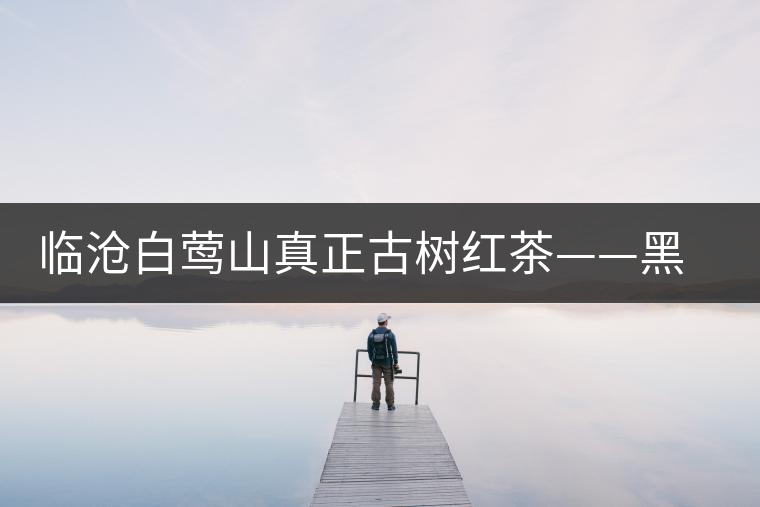 臨滄白鶯山真正古樹(shù)紅茶——黑美人 臨滄白鶯山真正古樹(shù)紅茶——黑美人