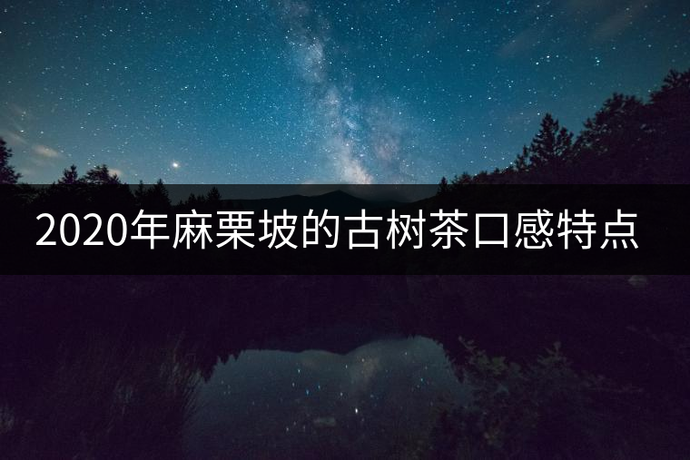2020年麻栗坡的古樹茶口感特點(diǎn)是什么？