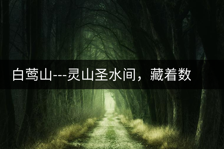 白鶯山---靈山圣水間，藏著數(shù)不盡的佛茶佳話