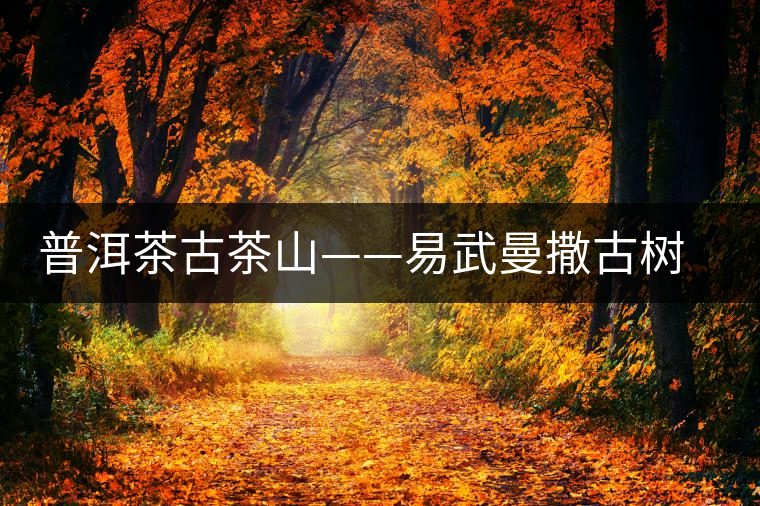 普洱茶古茶山——易武曼撒古樹(shù)茶 普洱茶古茶山——易武曼撒古樹(shù)茶