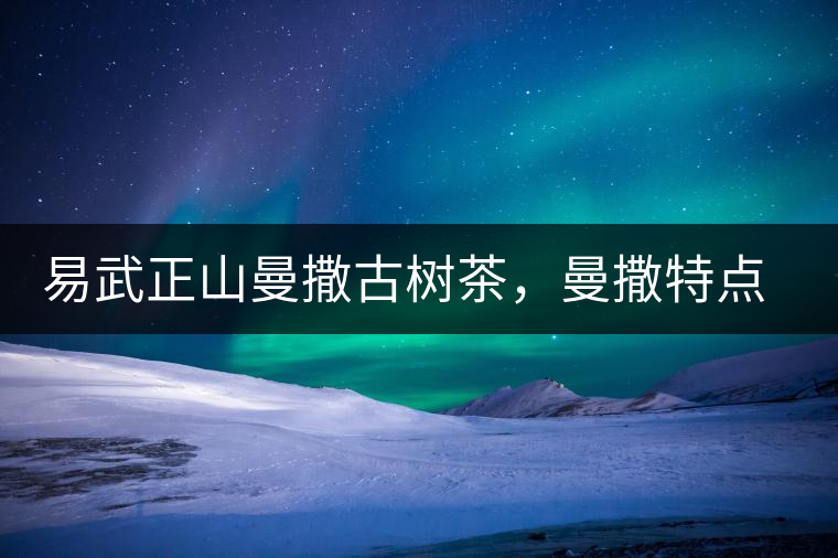 易武正山曼撒古樹茶，曼撒特點(diǎn)分享介紹