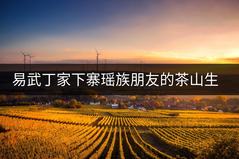 易武丁家下寨瑤族朋友的茶山生活 易武丁家下寨瑤族朋友的茶山生活