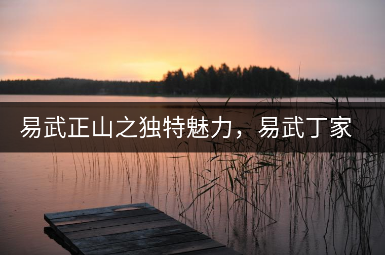 易武正山之獨(dú)特魅力，易武丁家寨介紹品鑒