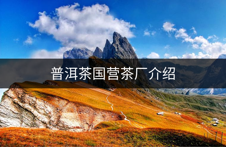 普洱茶國(guó)營(yíng)茶廠介紹 普洱茶國(guó)營(yíng)茶廠介紹